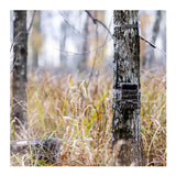 Yellowstone Y2 Cellular Trail Camera Bundle with High-Speed Card Reader, and Accessories (6-Pack) - 7