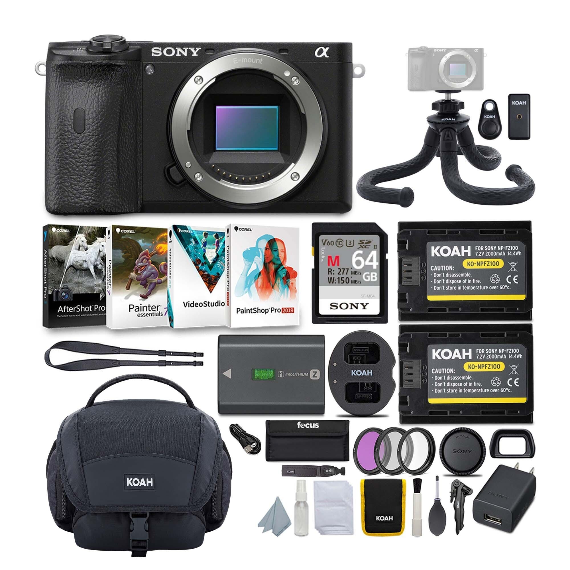 Sony Alpha a6600 APS-C Mirrorless Digital Camera (Body Only) with Carry Case and Accessories Bundle in Black